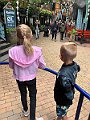 IMG_3987