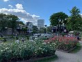 IMG_4063