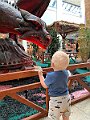 IMG_5421