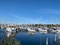IMG_6123