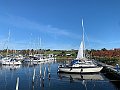 IMG_6124