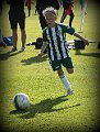 IMG_5910