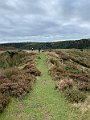 IMG_6479