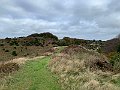IMG_6488