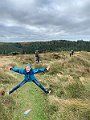 IMG_6490