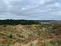 IMG_6493