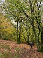 IMG_6543