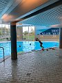 IMG_6612