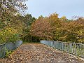 IMG_7041