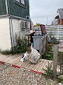 IMG_7045
