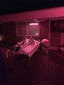 IMG_7191