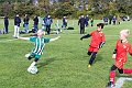 IMG_6324