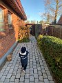 IMG_7630