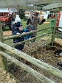 IMG_7407