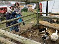 IMG_7410