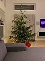 IMG_7412