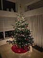 IMG_7413
