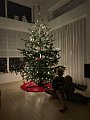 IMG_7418
