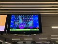 IMG_8045