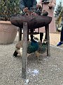 IMG_8149