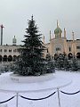 IMG_8153