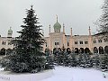 IMG_8156