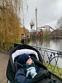 IMG_8178