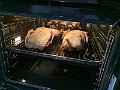 IMG_8245