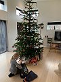 IMG_8250