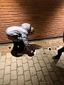 IMG_8739