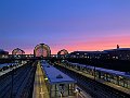 IMG_7717