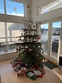 IMG_8553