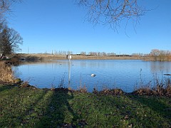 IMG_9546