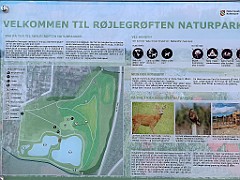 IMG_9570