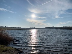 IMG_9418