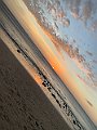 IMG_2170