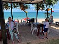 IMG_2323