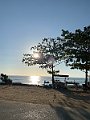 IMG_2401