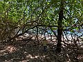 IMG_2663