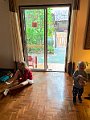 IMG_3138