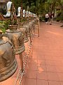 IMG_3291