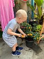 IMG_4003