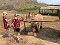 IMG_4158