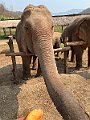 IMG_4181