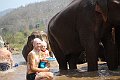 IMG_4605