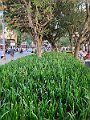 IMG_4784