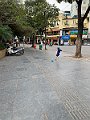 IMG_4890