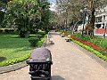 IMG_5056