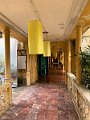 IMG_5329