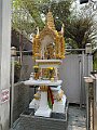 IMG_1274